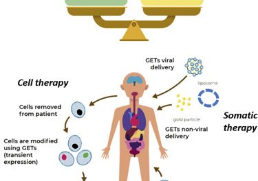 A brief introduction about Gene therapy