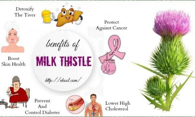 Milk Thistle: Use, Benefits and Side Effects