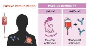 Difference Between Active and Passive Immunity