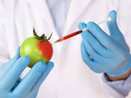 All about Genetically Modified Food
