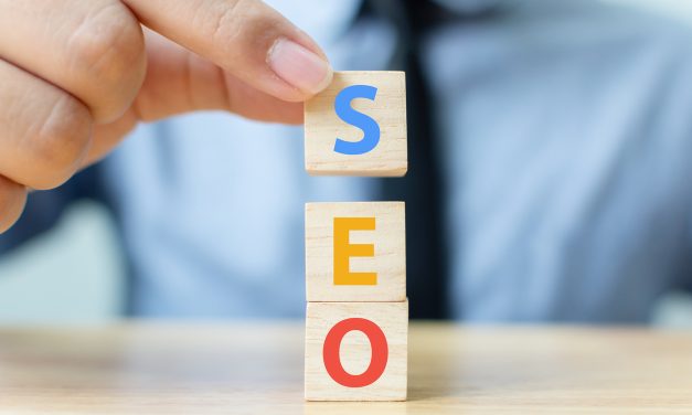 Roles and responsibilities of SEO Consultant in detail