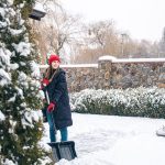 Winter Garden Guardian: 8 Tips for Safeguarding Your Landscape