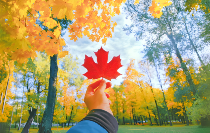 Beyond the Maple Leaf: Exploring Canada’s Urban Landscapes