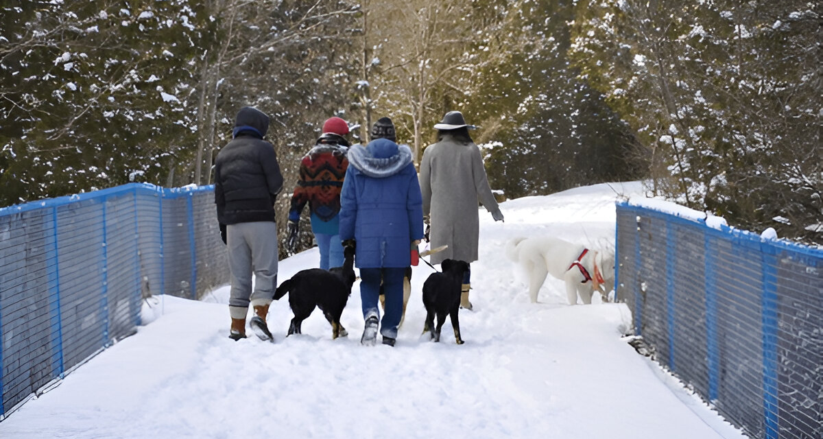 Exploring Canada with Kids: The Ultimate Guide to Family-Friendly Activities