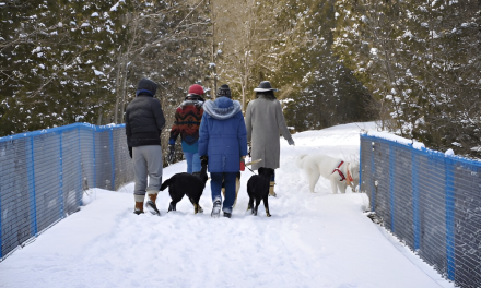 Exploring Canada with Kids: The Ultimate Guide to Family-Friendly Activities