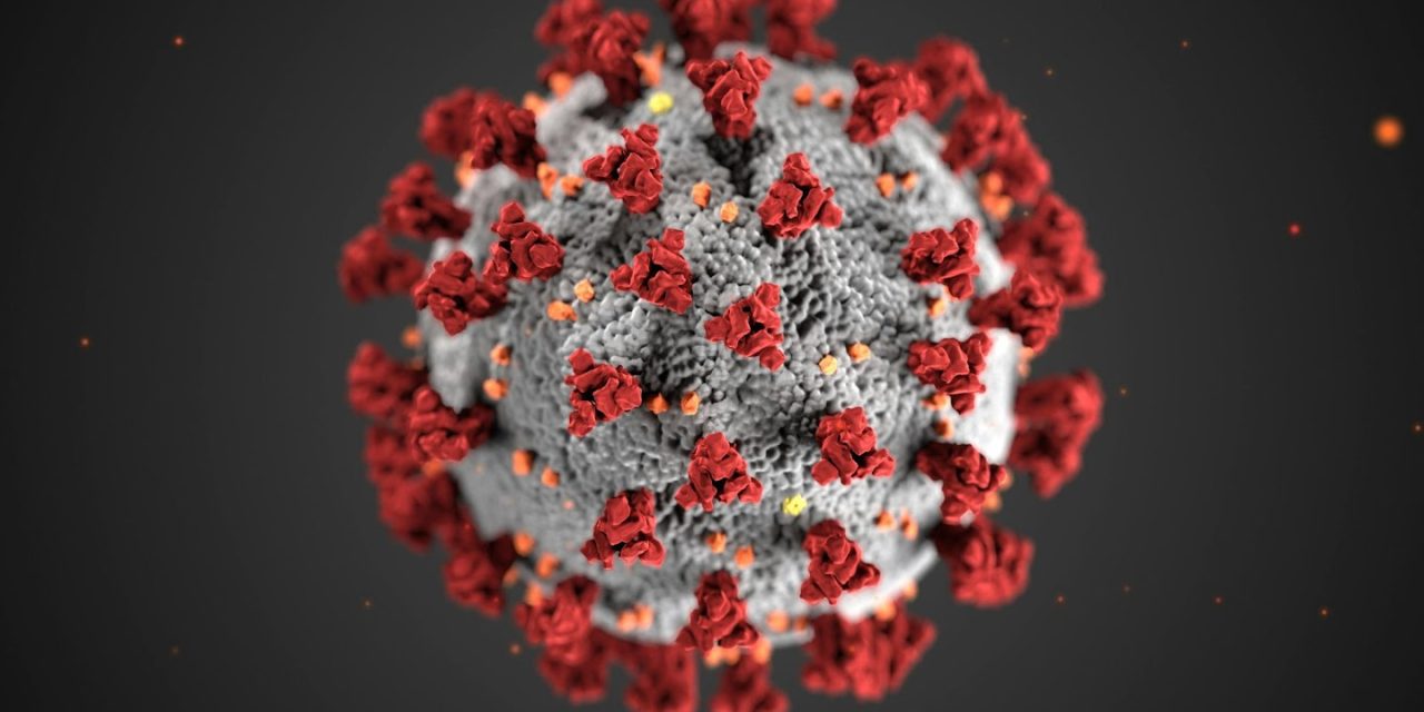 Alberta Surpasses U.S. in Measles Cases: A Wake-Up Call for Public Health