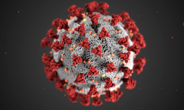 Alberta Surpasses U.S. in Measles Cases: A Wake-Up Call for Public Health