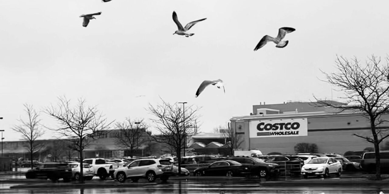 Executive Members at Costco Can Now Enjoy Early Store Access