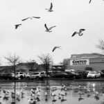 Executive Members at Costco Can Now Enjoy Early Store Access