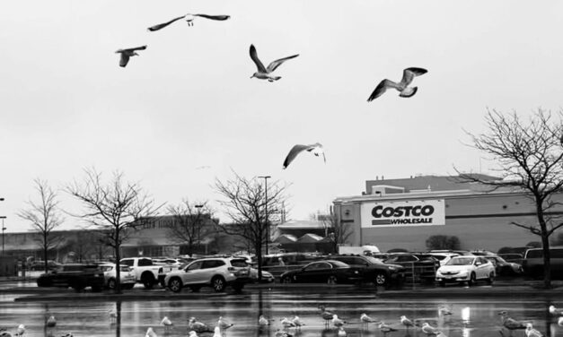 Executive Members at Costco Can Now Enjoy Early Store Access